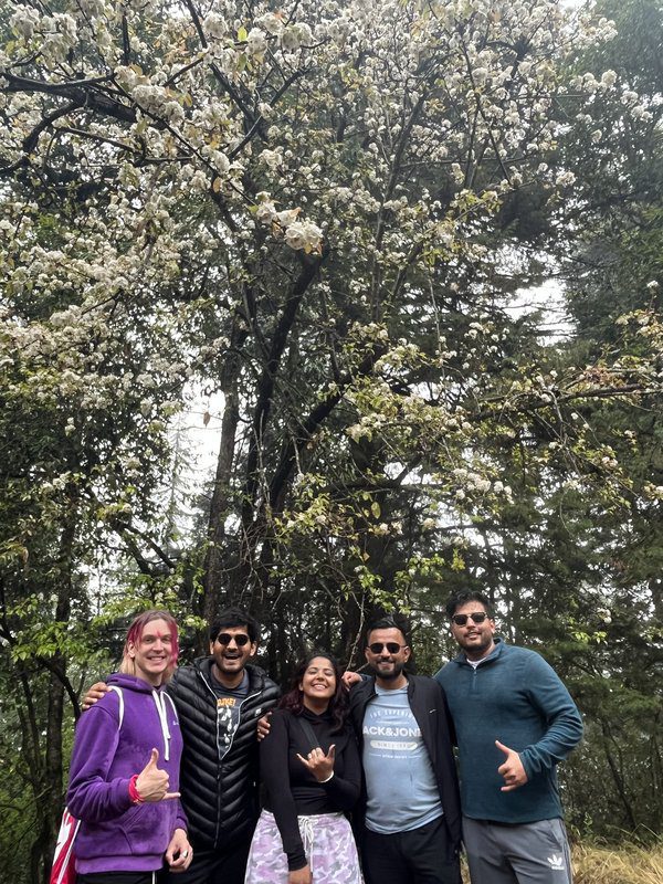 Corporate team trekking under blossom trees organised by Gotag