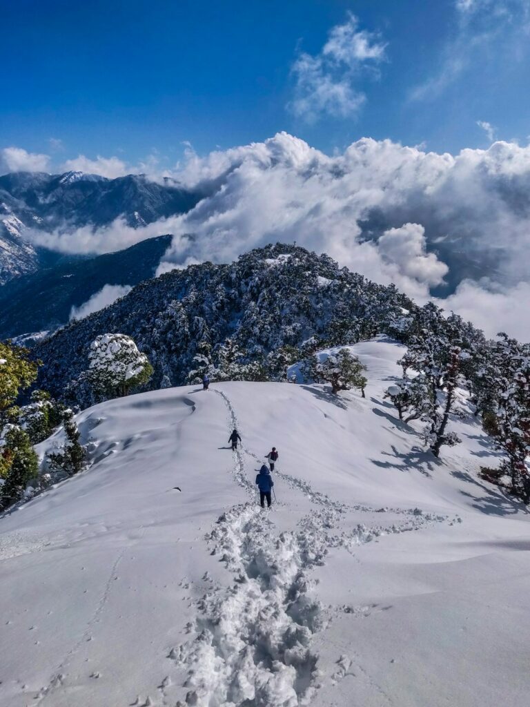 team outing Manali